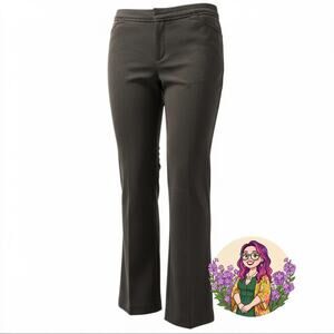 Christopher Banks Charcoal Gray Wool Blend Dress Pants Straight Leg Professional